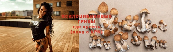 кокаин премиум Белокуриха
