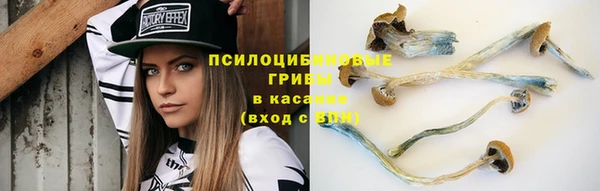 кокаин премиум Белокуриха